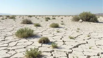 Most ugyan fagyos az idő, de tavaly extrém meleg volt