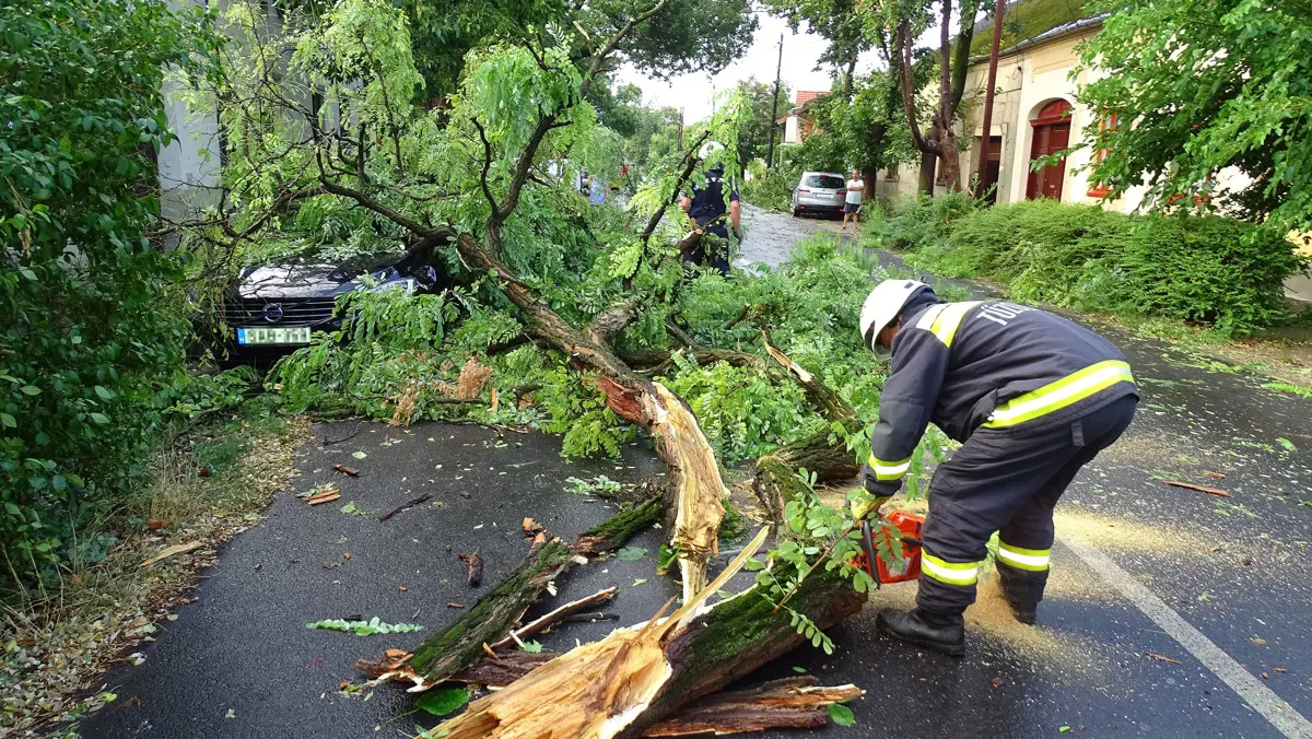 A viharok eddigi mérlege: közel 1300 kidőlt fa, elárasztott pincék, épületkárok