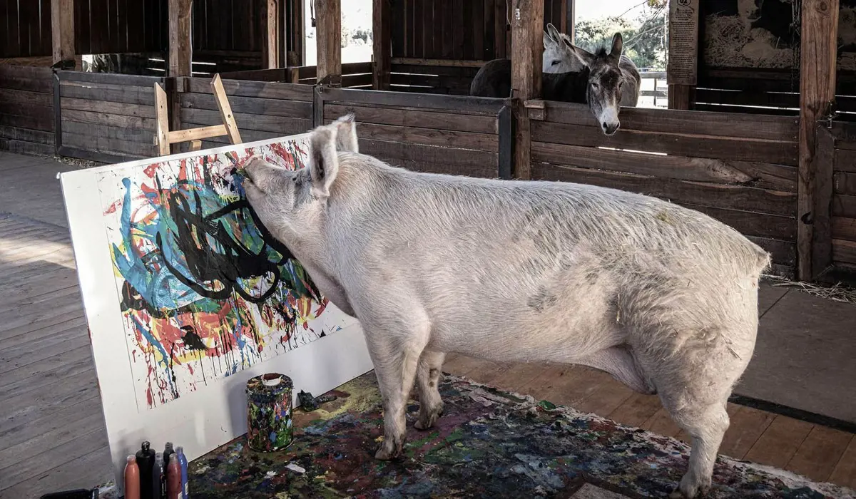Posztmodern: 20 ezer fontért kelt el Pigcasso, a művész malac szájjal festett képe