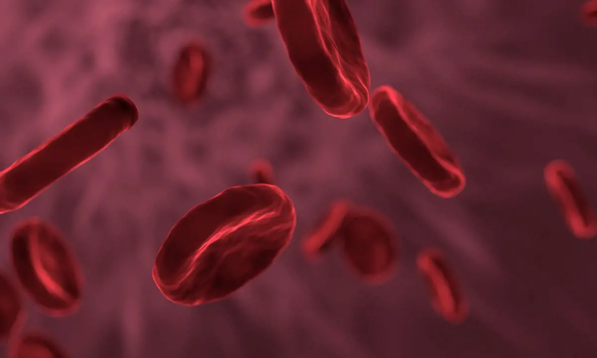 Biztató: először találtak emberi vérben műanyag mikroszemcséket