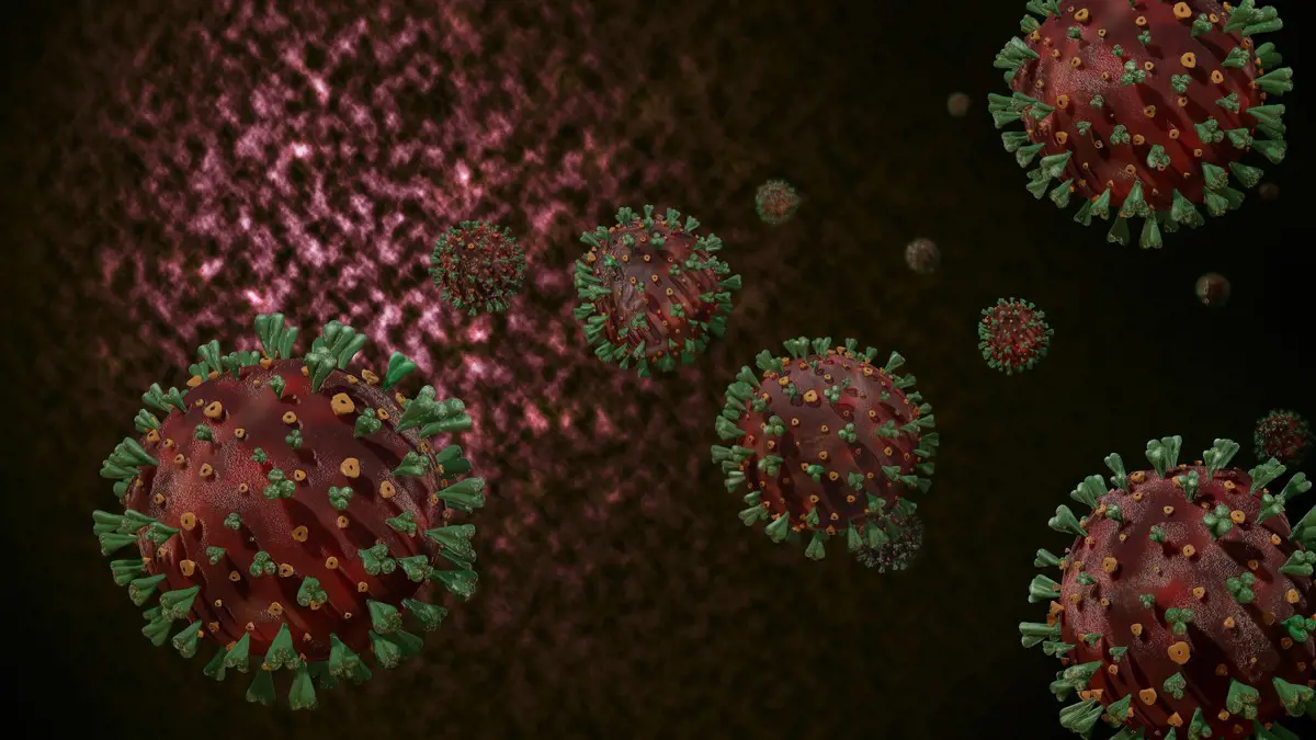 Már 61,6 millió koronavírus-fertőzött van a világon