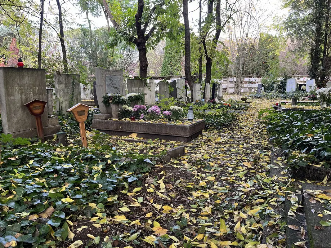 Újabb elkeserítő adatokat közölt az állami hivatal