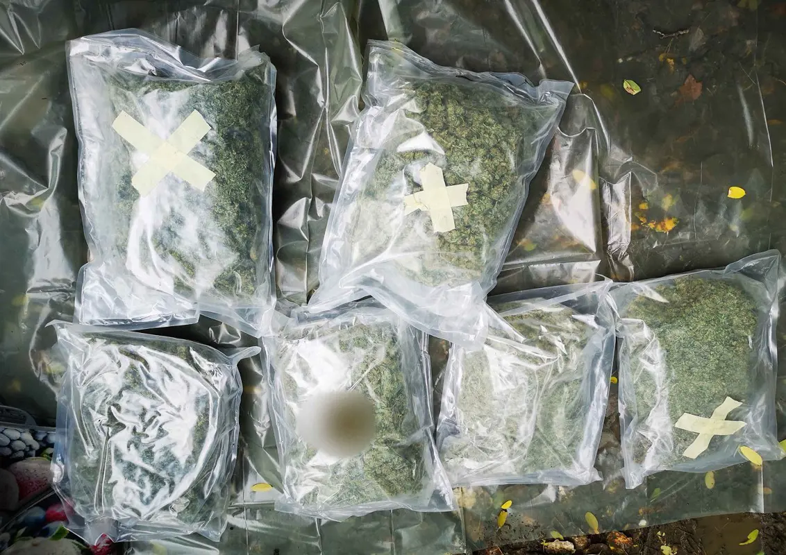 Nagy mennyiségű marihuánát találtak egy taxiban a rendőrök Gyálon