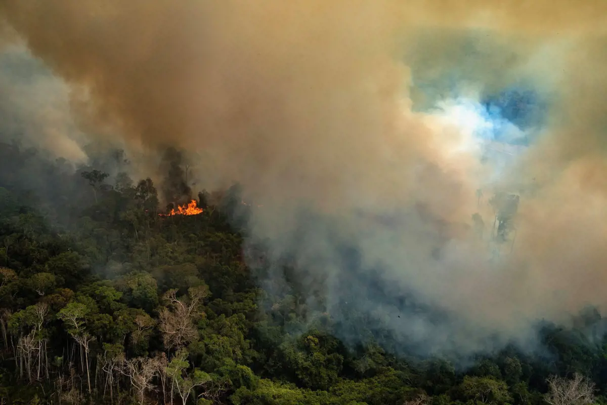 Tavaly hat másodpercenként egy labdarúgópályányi érintetlen őserdő tűnt el a Földön