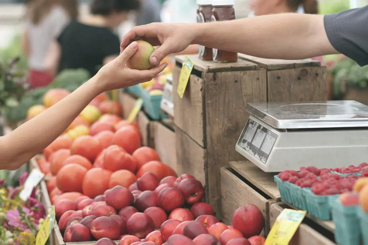 Csökkent a kiskereskedelmi üzletek forgalma decemberben, kevesebbet költünk élelmiszerre