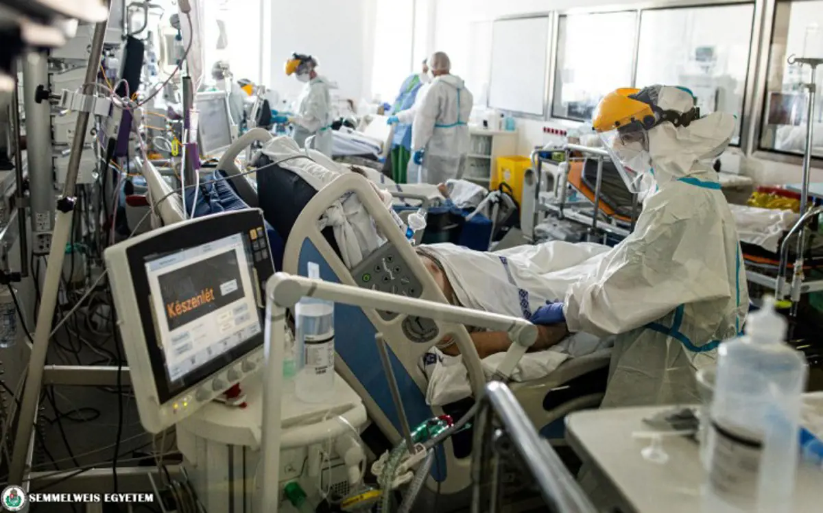Veszélyben: a Semmelweis Egyetemen több várandós nő is lélegeztetőgépre került